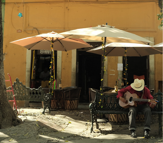 Man with a guitar on a bench
