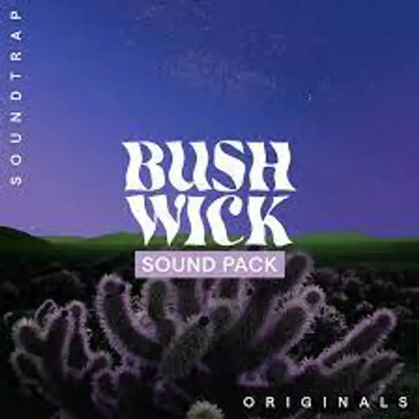 Bushwick, Soundtrap Originals